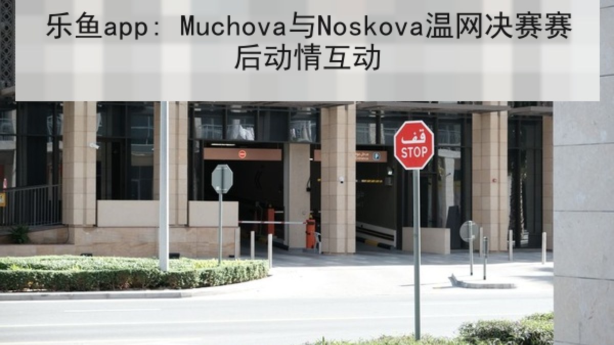 乐鱼app: Muchova与Noskova温网决赛赛后动情互动